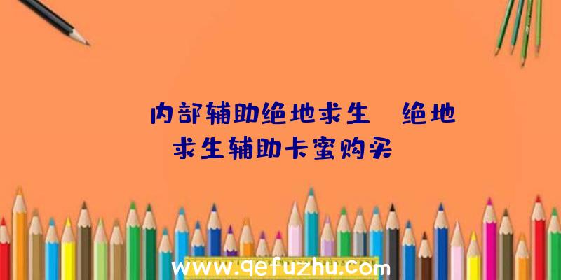 「bt内部辅助绝地求生」|绝地求生辅助卡蜜购买